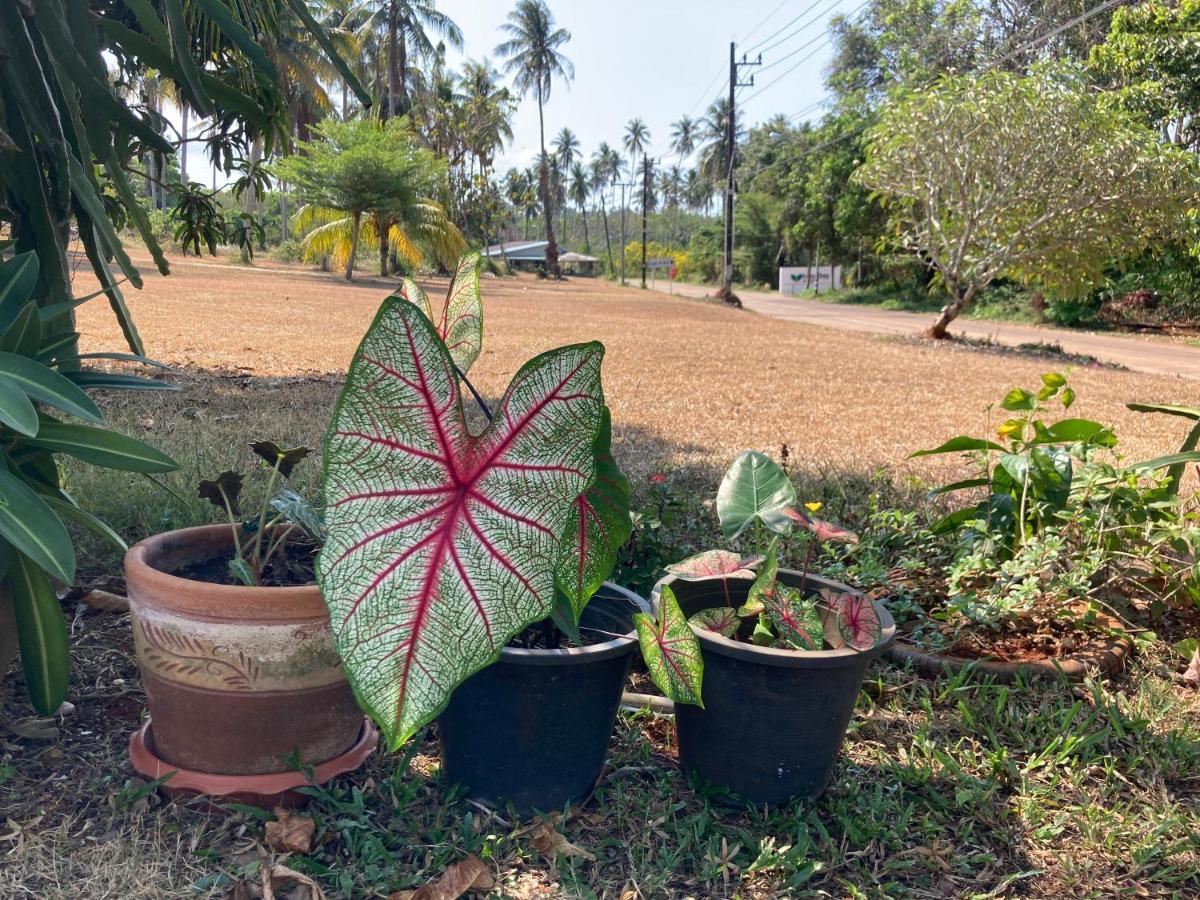 Koh Mak Homestay Ngoại thất bức ảnh